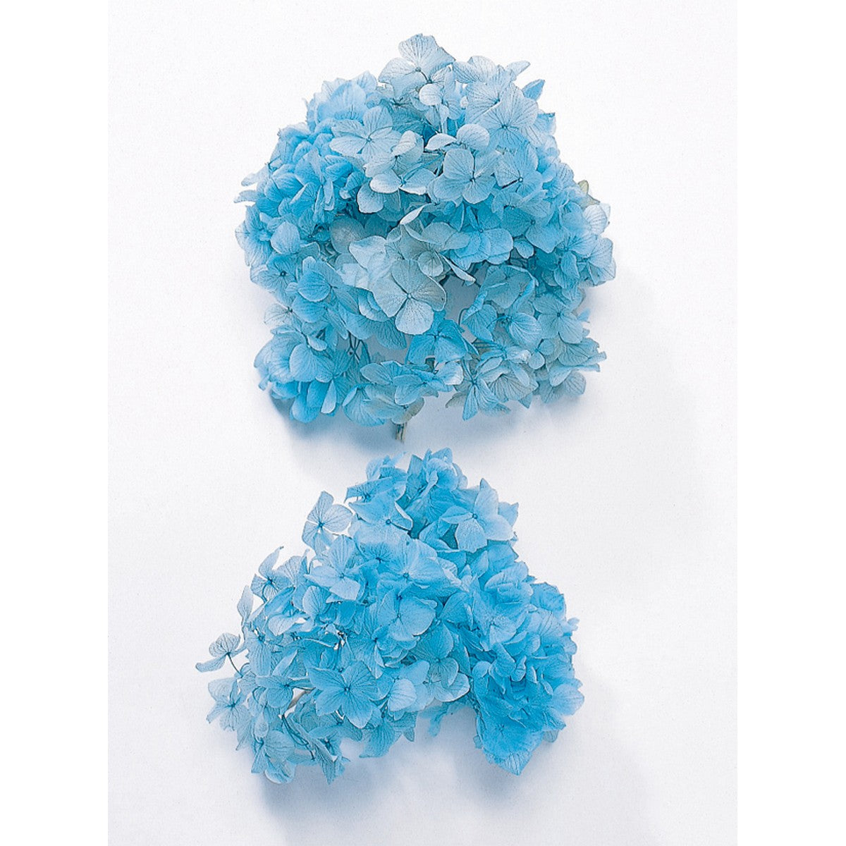 EARTH MATTERS Dadi Farm - Preserved Flower Japanese Preserved Flower (Hydrangea) - Blue