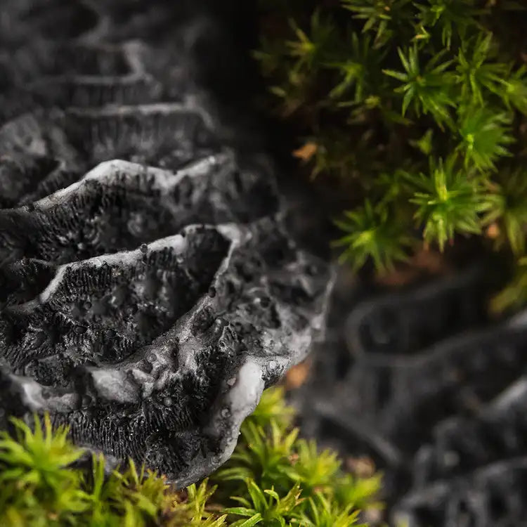 CS - Black Coral and Moss 黑珊瑚和苔蘚– Candle Element