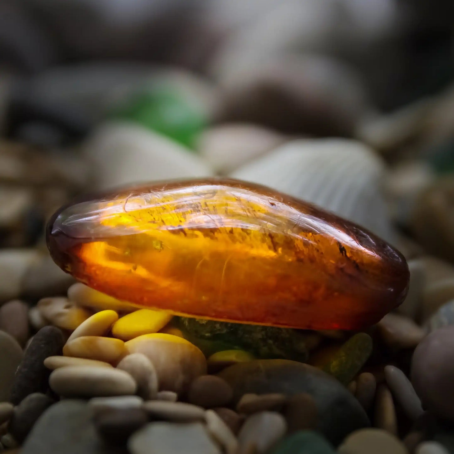 TDB - Ambergris 龍涎香