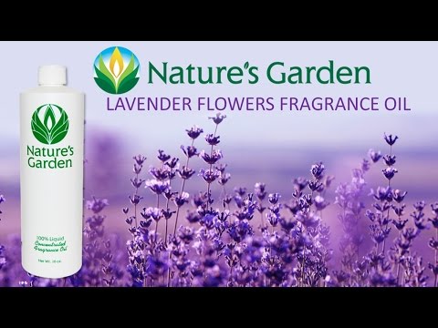 NG - Lavender Flowers 薰衣草花