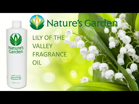 NG - Lily of the Valley Fragrance Oil 鈴蘭