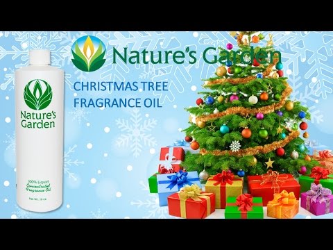 NG - Christmas Tree Christmas tree