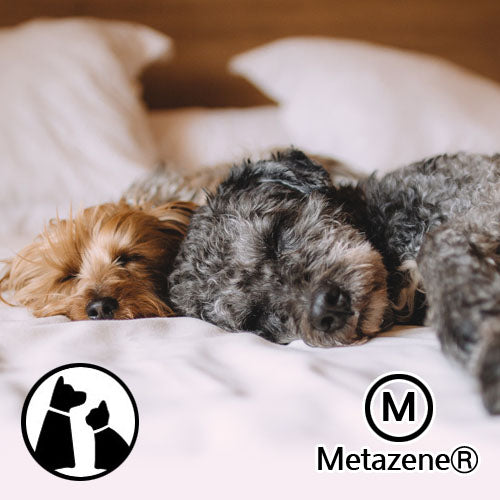 COSMO - Anti ODor : Clean Pet 乾淨的寵物 - 抗動物異味