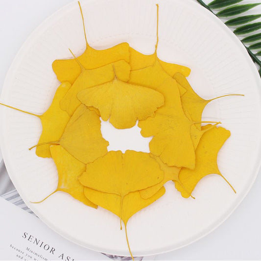 Pressed Ginkgo Leaf 銀杏葉壓花包 - Y黄色 (4-9cm)