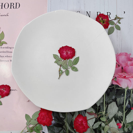 Pressed Rose with branch 帶枝玫瑰花壓花包 - R紅色 (5-7cm)