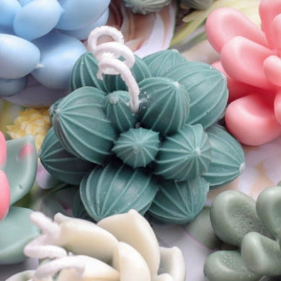 Cactus Mould #10 仙人掌模具 (Medium)