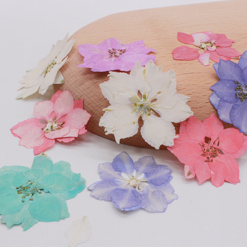 Pressed Delphinium 飛燕花壓花包 - B藍色 (2-4cm)