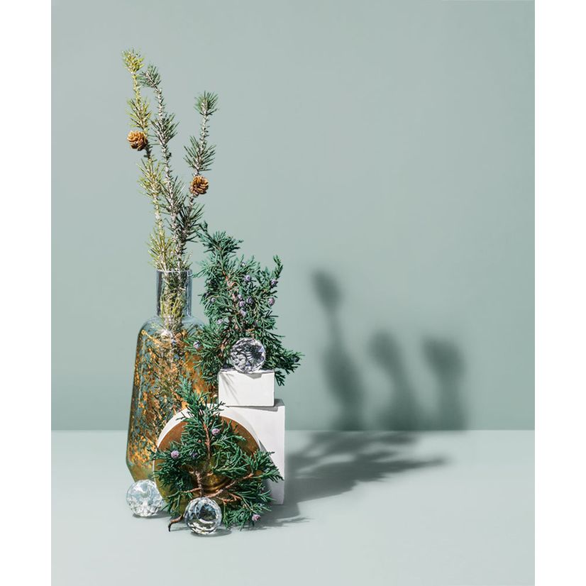 WW - JUNIPER FIR + BALSAM SPRUCE 杜松冷杉與香脂雲杉