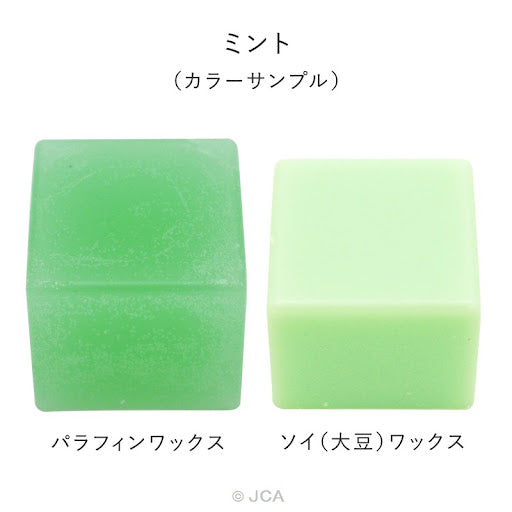 Pigment Chips #41 Mint 薄荷顏料片