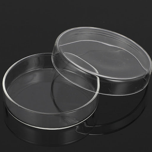 9cm Clear Flat Glass with Lid 透明扁平玻璃杯 連蓋 (玻璃表面有刮痕)