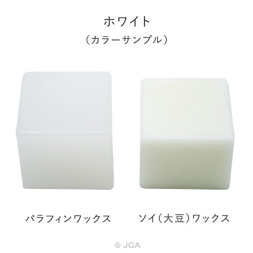 Pigment Chips #12 White 白色顏料片