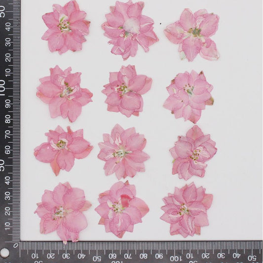 Pressed Delphinium 飛燕花壓花包 - Pi 粉紅色 (2-4cm)
