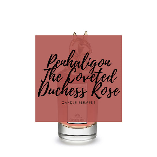 P type - The Coveted Duchess Rose 玫瑰公爵夫人-狐狸