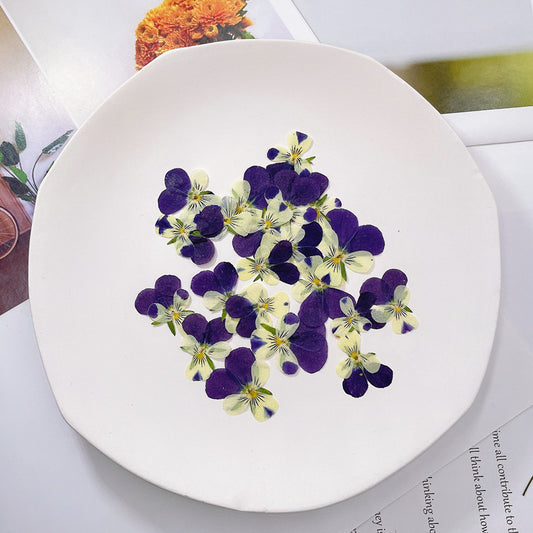 Pressed Wild Pansy 三色菫花壓花包 - PW紫白色 (3cm)