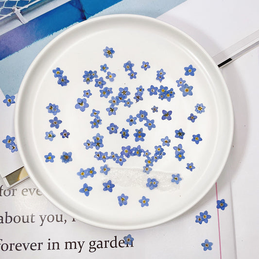 Pressed Mini Forget-me-not 迷你勿忘我壓花包 - WiBl 白色藍色 (0.5-0.7cm)