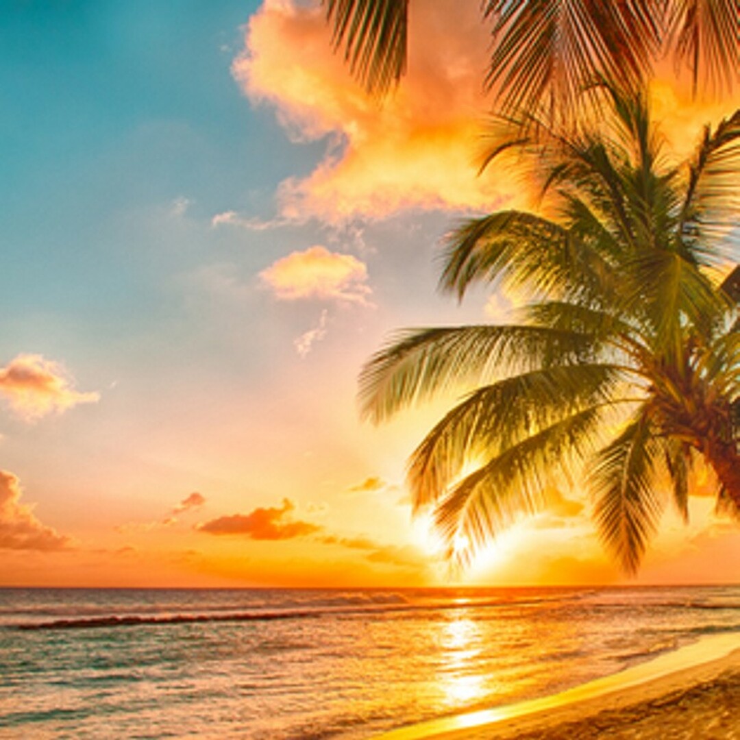 TFC - Honolulu Sun (Type) 檀香山太陽