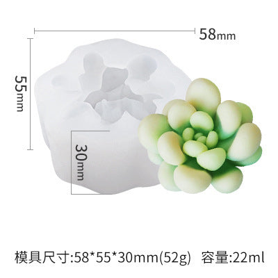 Cactus Mould #12 仙人掌模具 (Medium)