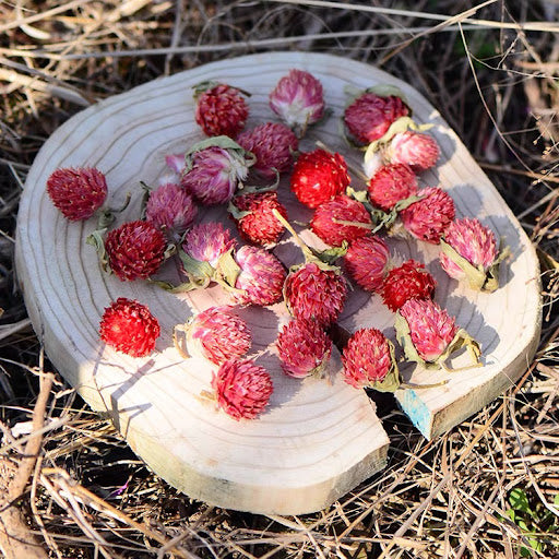 Dried Globe Amaranth 千日红乾花 - 紅色/紫色/粉红 100g
