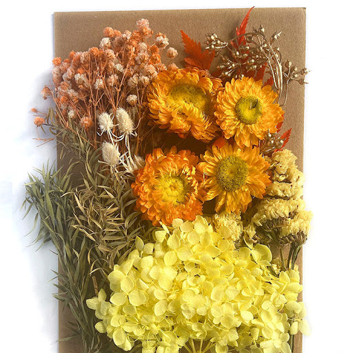 Dried Flower 乾花包 Yellow 10