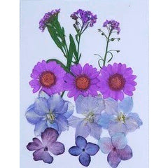 Pressed Dried Flower 壓花乾花包 (C Purple 紫色)