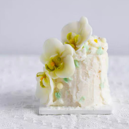 Phalaenopsis Mold 蝴蝶蘭模具