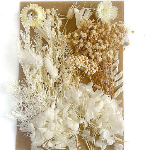 Dried Flower 乾花包 White 07