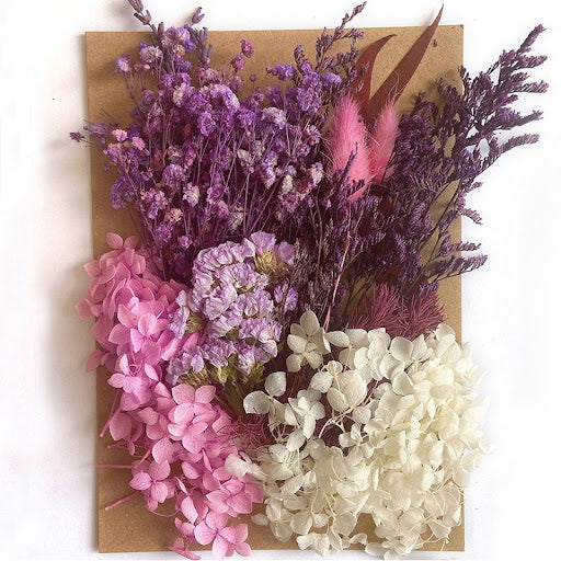 Dried Flower 乾花包 Purple 06