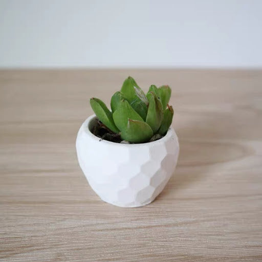 Mini Vase Mold 迷你菱形紋花盆模 Type C