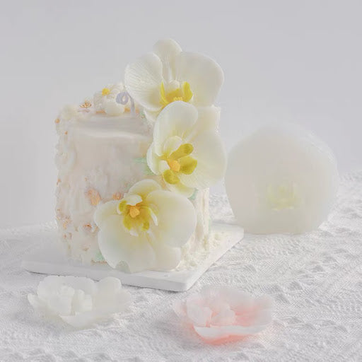 Phalaenopsis Mold 蝴蝶蘭模具