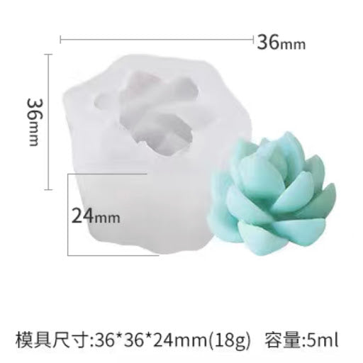 Cactus Mould #15 仙人掌模具 (Mini)