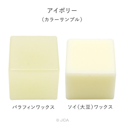 Pigment Chips #19 Ivory 象牙白顏料片