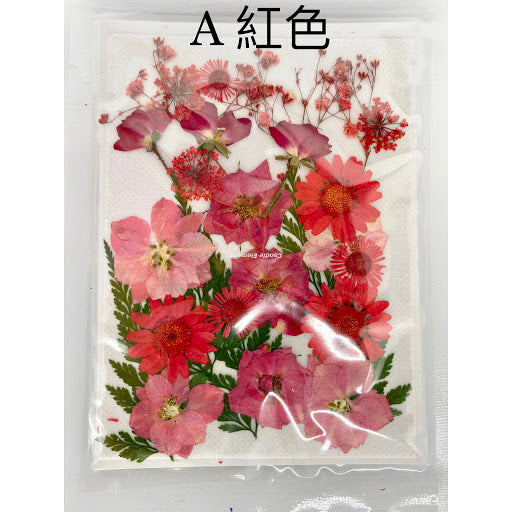 Pressed Dried Flower 壓花乾花包 (A Red 紅色) AR1