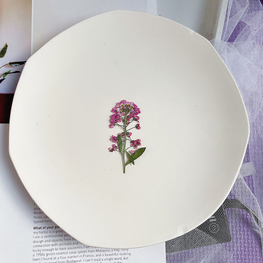 Pressed Sweet Alyssum 香雪球花壓花包 - RR玫紅色 (5-7cm)