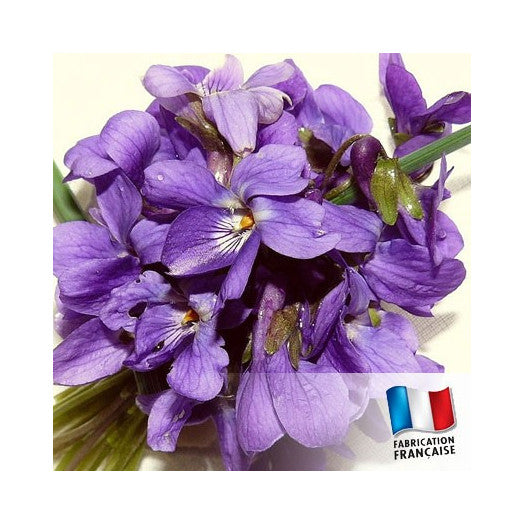 TDB - Wood Violet Wood Violet