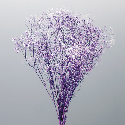 EARTH MATTERS 大地農園 - Mini Kasumi Grass 迷你霞草 22g - Purple & White 紫/白