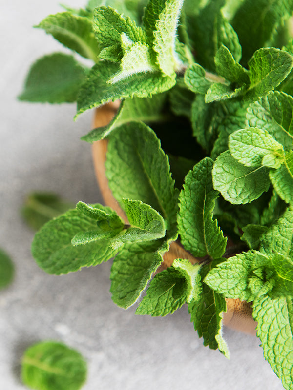 CW - Essential Oil 天然精油 (Pre-order 預訂) 3