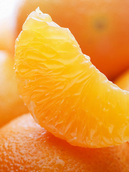 CW - Essential Oil 天然精油 (Pre-order 預訂) 4