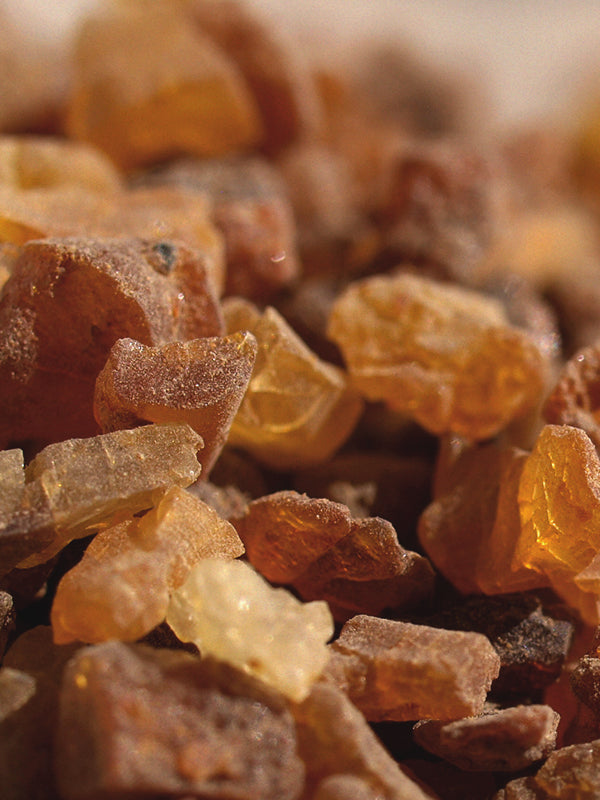 CW - Essential Oil 天然精油 (Pre-order 預訂) 2