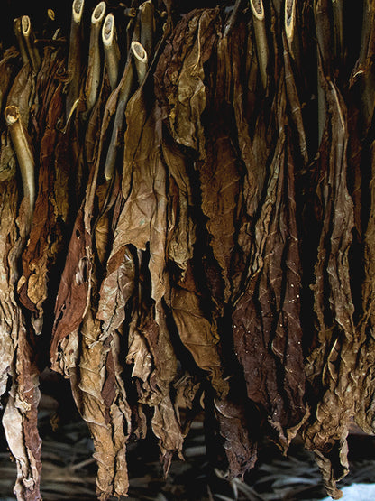 CW - Essential Oil 天然精油 (Pre-order 預訂) 2