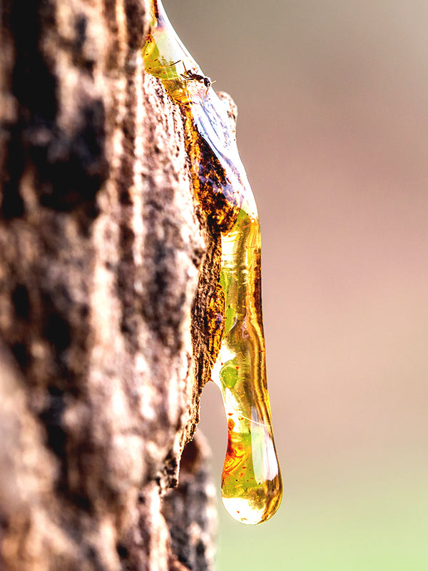 CW - Essential Oil 天然精油 (Pre-order 預訂) 4