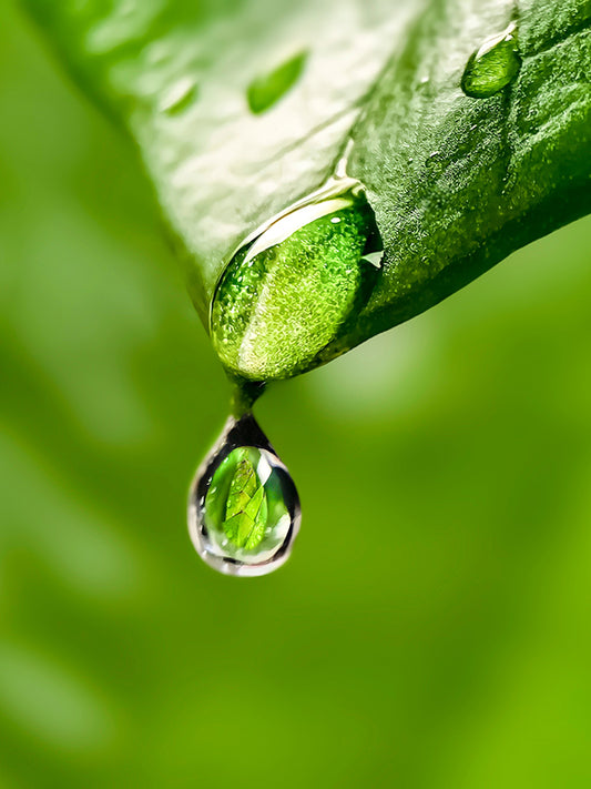 [7103] GREENCATCHER™ 綠捕手 Mane