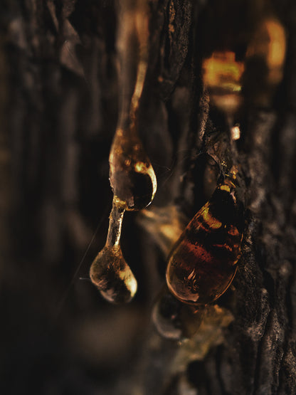 CW - Essential Oil 天然精油 (Pre-order 預訂) 2