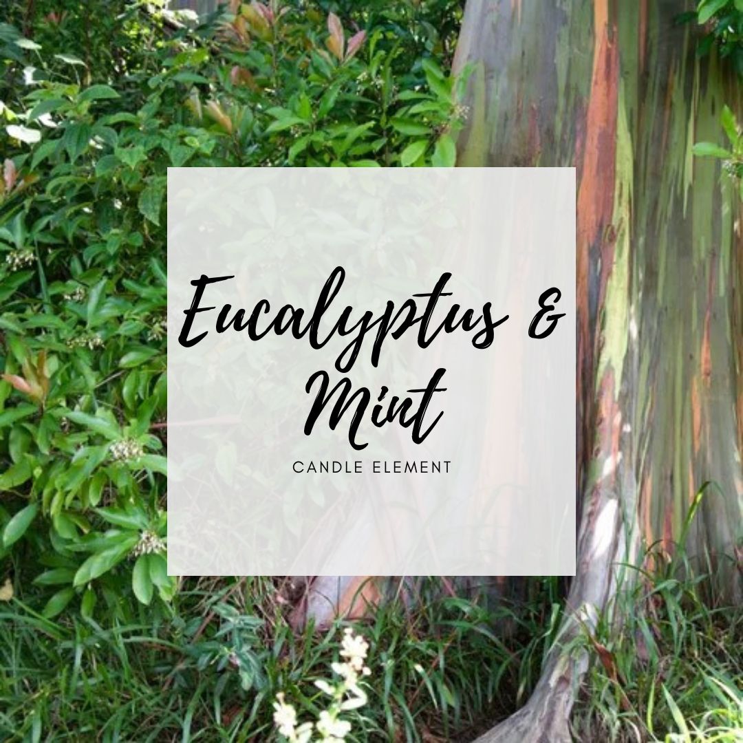 Eucalyptus & Mint Eucalyptus & Mint – Candle Element