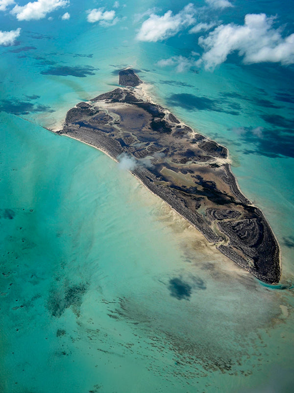 AMBERGRIS BASE 龍涎香基底油