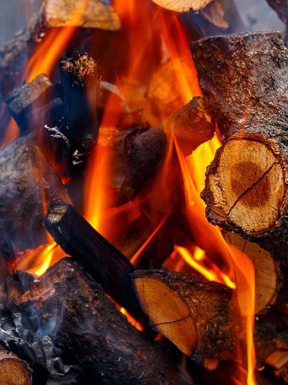 BIRCH TAR BASE 焦樺木基底油