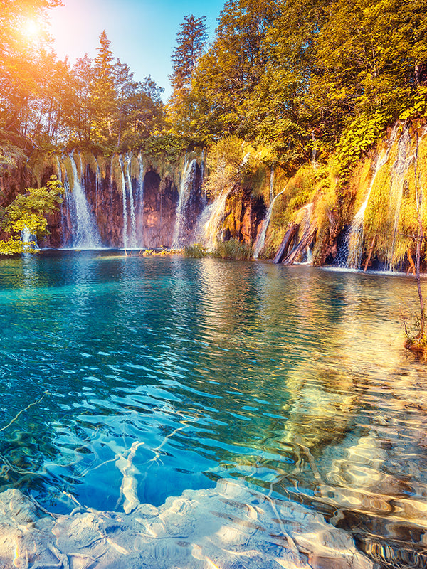 CHYPRE BASE 柑苔基底油