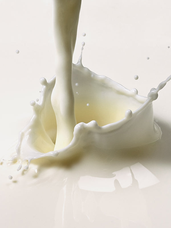 MILK LACTONE BASE 奶香基底油