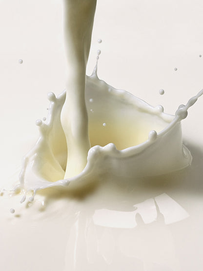 MILK LACTONE BASE 奶香基底油