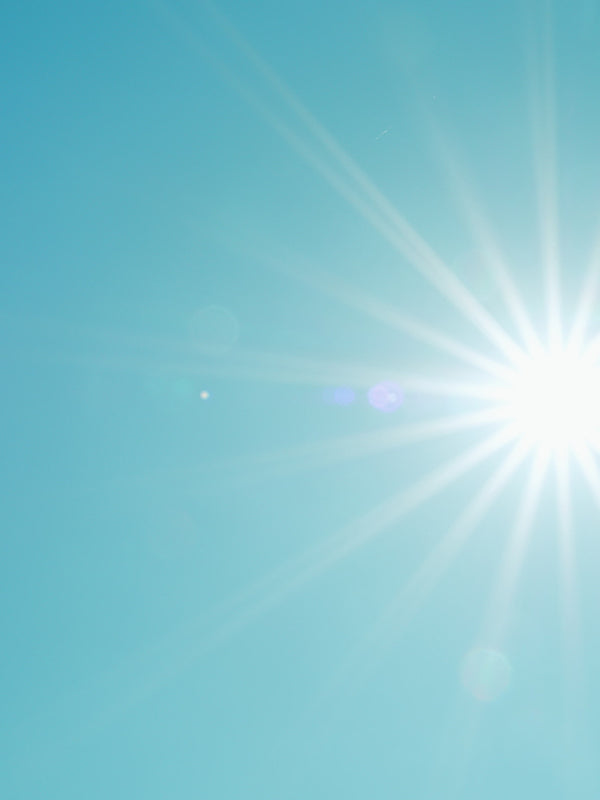 OZONE BASE 臭氧基底油