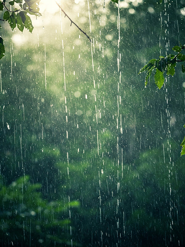 RAIN BASE 雨基底油